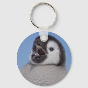 Llavero Polluelo del pingüino de emperador
