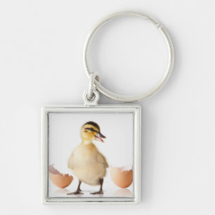 Llavero Polluelo recientemente tramado al lado de la