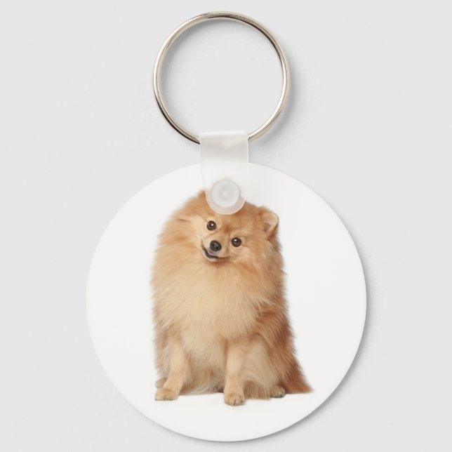 Llavero Pomerania Pom Pom Pom Puppy Dog Keychain (Anverso)