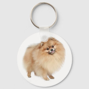 Llavero Pomerania Pom Pom Pom Puppy Dog Keychain