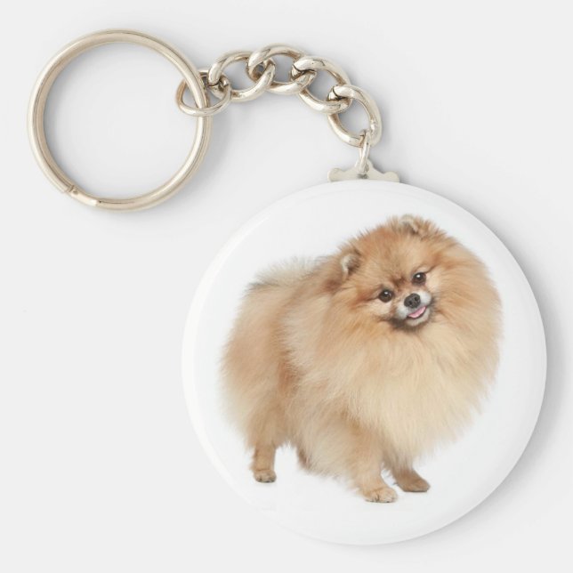 Llavero Pomerania Pom Pom Pom Puppy Dog Keychain (Frente)