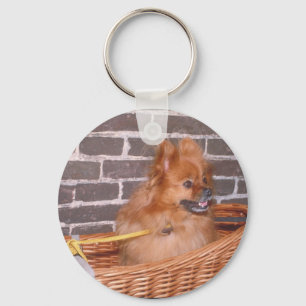 Llavero Pomeranian
