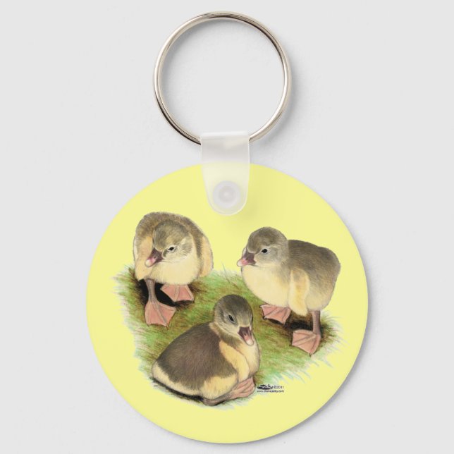 Llavero Pomeranias Buff Goslings (Anverso)