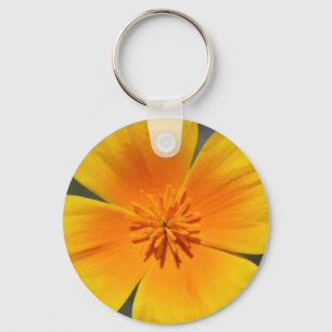 Llavero Poppy de California