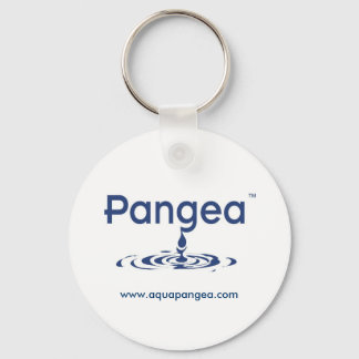 Llavero portachiavi Pangea