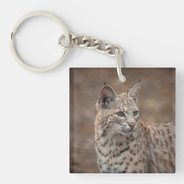 Llavero Portrait of a Bobcat (Frente)