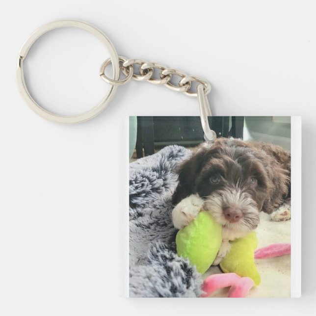 Llavero Portuguese Water Dog Key Chain (Frente)