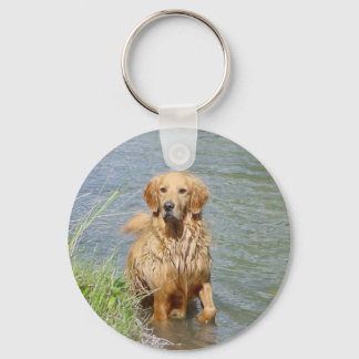Llavero Posibilidad ~ el Golden Retriever
