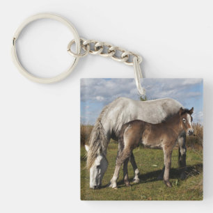 Llavero Potro de caballo Camargue con madre