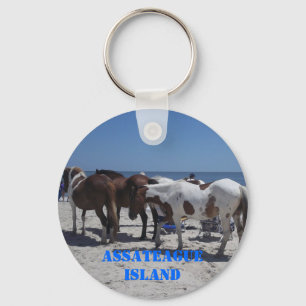 Llavero Potros de la isla de Assateague