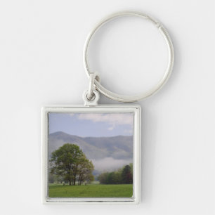 Llavero Prado brumoso y Rich Mountain, Cades Cove,