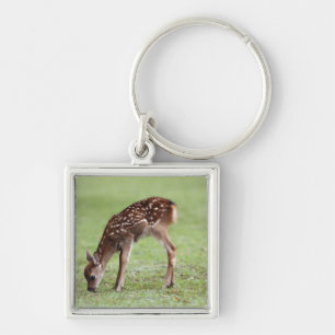 Llavero Prefectura de Nara, Honshu, Japón