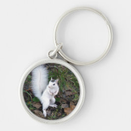 Llavero premium key chain - White Squirrel