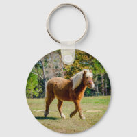 Pretty Shetland Pony