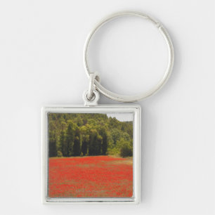 Llavero Primavera roja Provence Francia de las amapolas