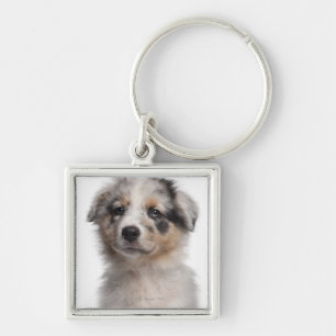 Llavero Primer australiano azul del perrito del pastor de