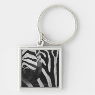 Llavero Primer de la cara y del hombro de la cebra