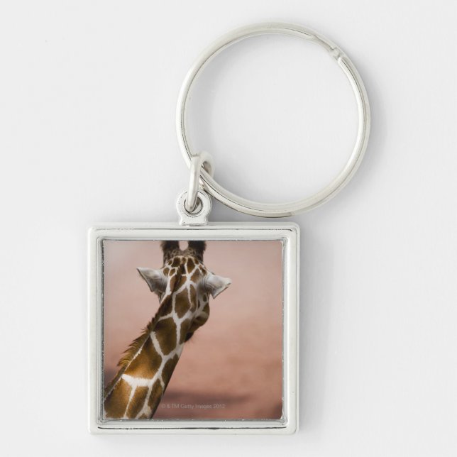 Llavero Primer de la jirafa somalí (Giraffa (Frente)