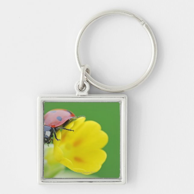 Llavero Primer de la mariquita (Frente)