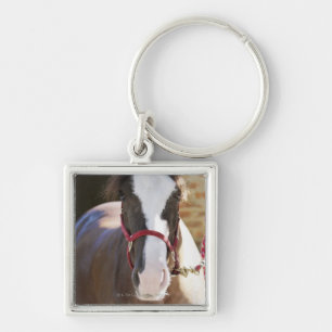 Llavero Primer de un caballo atado en un establo