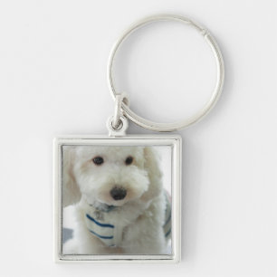 Llavero Primer de un caniche miniatura