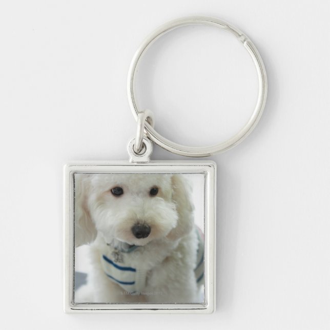 Llavero Primer de un caniche miniatura (Frente)