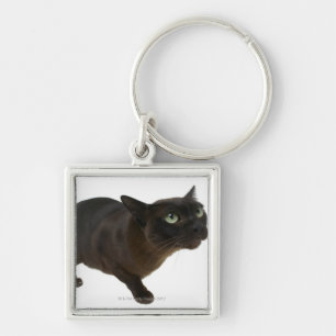 Llavero Primer de un gato 2