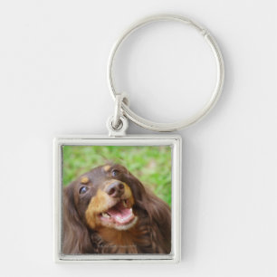 Llavero Primer de un perro del Dachshund
