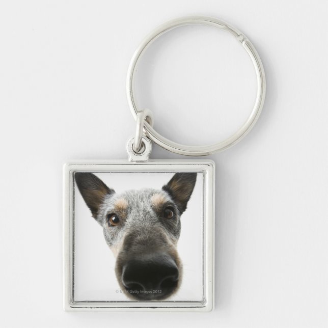 Llavero Primer de una cabeza de perro (Frente)