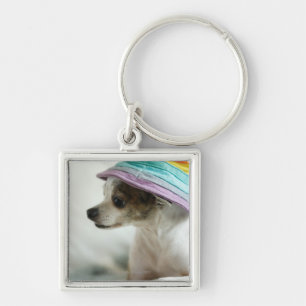 Llavero Primer de una chihuahua que lleva un gorra