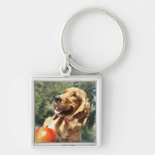 Llavero Primer de una manzana delante de un perro