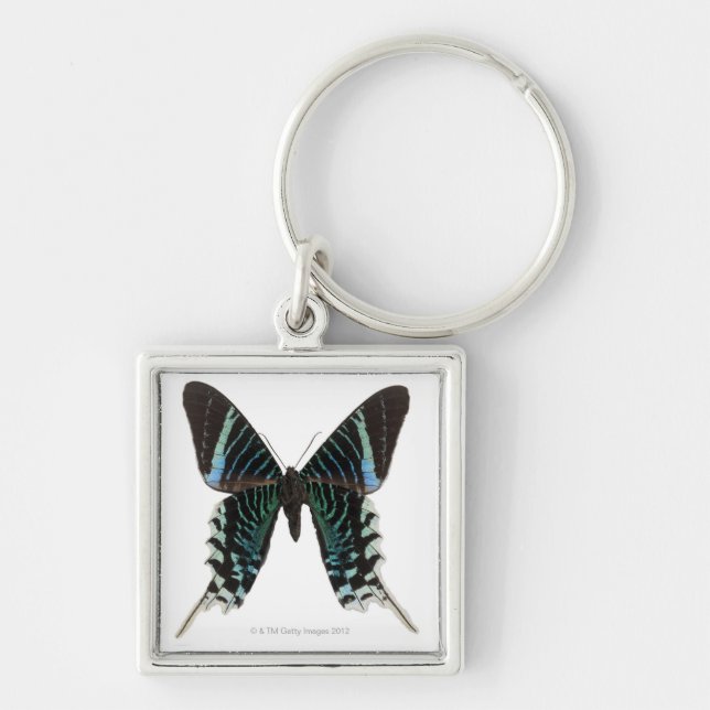 Llavero Primer de una mariposa (Frente)