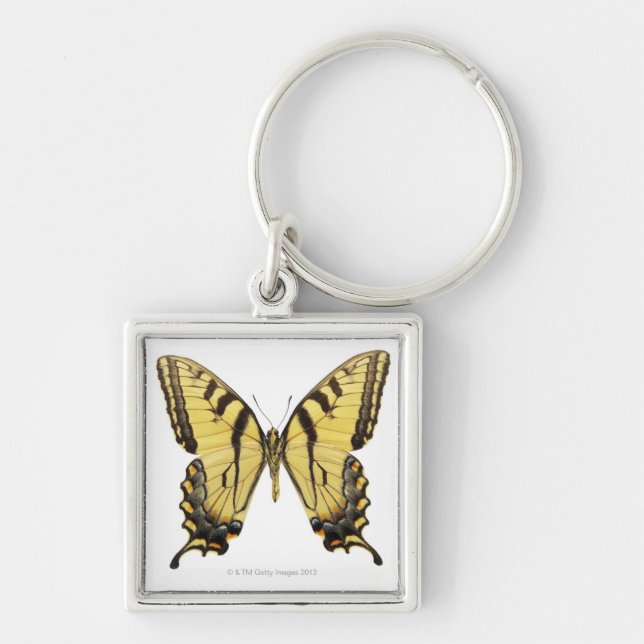 Llavero Primer de una mariposa 2 (Frente)