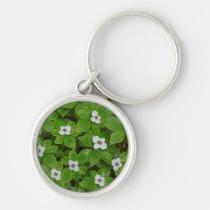 Llavero Primer plano de cornejo enano con flores blancas
