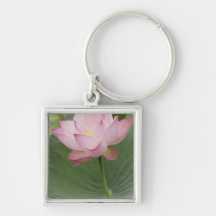 Llavero Primer plano de la flor de Loto, Nelumbo nucifera)
