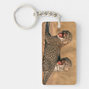 Llavero Primer Plano De Leopardo (Panthera Pardus) Recién