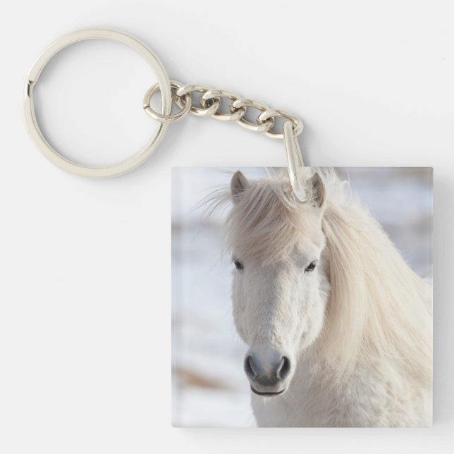 Llavero Primer plano de un caballo islandés blanco (Frente)