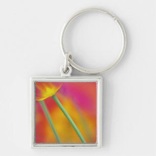 Llavero Primer plano del envés de la flor de tulipán,