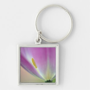Llavero Primer plano del envés de la flor de tulipán, Kuek