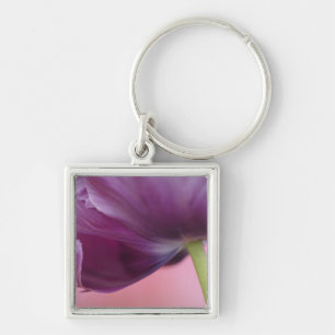 Llavero Primer plano del envés de la flor de tulipán, Kuek