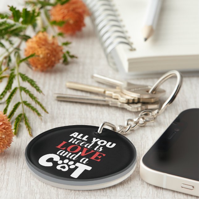 Llavero Problemas de estado del gato (Frente Derecha)