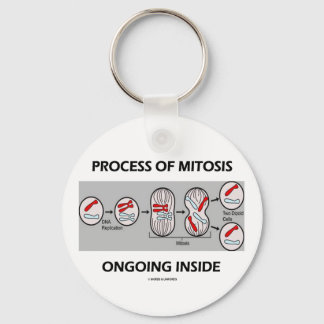 Llavero Proceso De Mitosis En Curso En El Interior