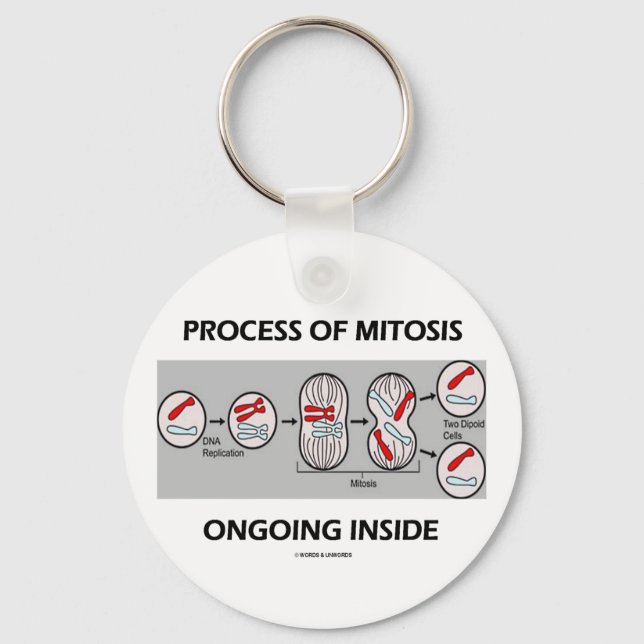 Llavero Proceso De Mitosis En Curso En El Interior (Anverso)