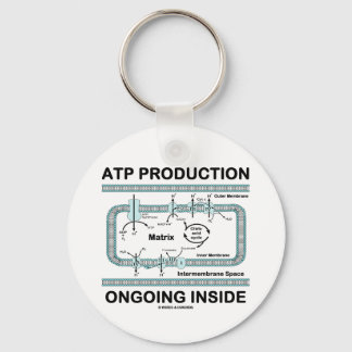 Llavero Producción de ATP en curso en el interior