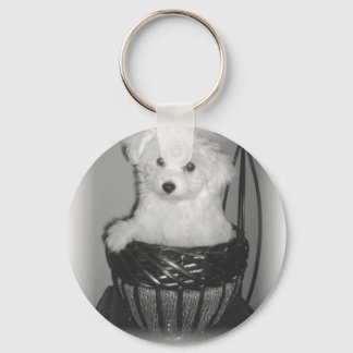 Llavero Productos MaltiPoo