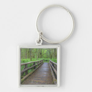 Llavero puente de madera Maple Glade trail, helechos y