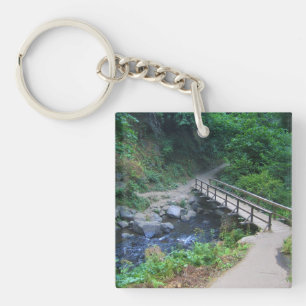 Llavero Puente en las cataratas de Latourell, Oregón