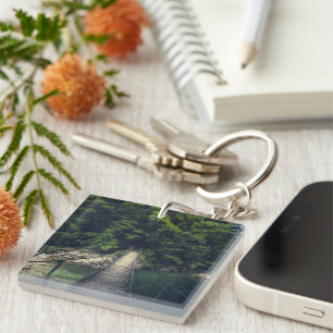 Llavero Puente suspensivo simple sobre el río Idrijca, Slo