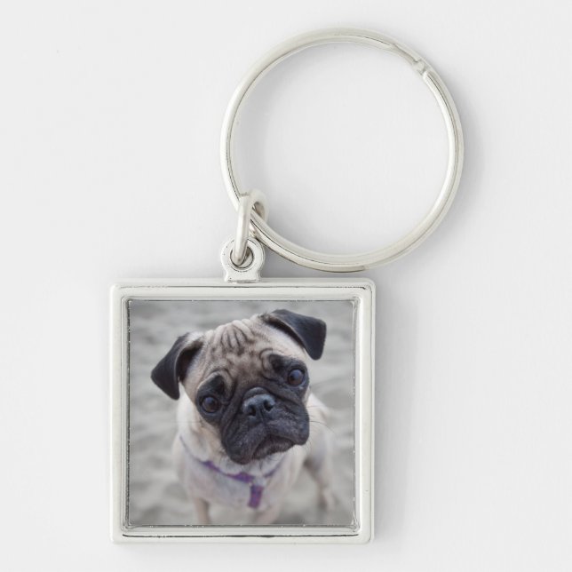 Llavero Pug Closeup (Frente)