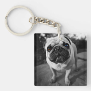 Llavero Pug guapo
